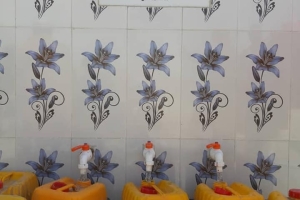 59. Su kuyusu ve Çeşme Güney Türkistan'da hizmete girdi