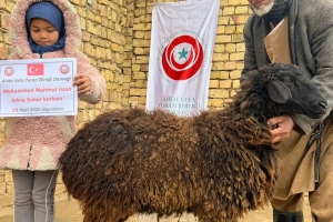 Güney Türkistan’da Şükür Kurbanı Heyecanı: Soydaşlarımızın Sofrasındayız