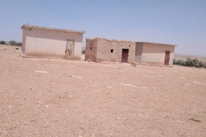 Merhametli kardeşlerimizin dikkatine