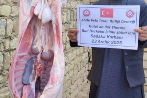 Beklenen Kardeş, Özlenen Bereket