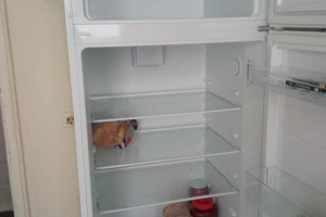 Ev buz gibi. Halı yok, Perde yok. Dolap boş...