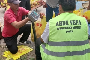 KIRGIZİSTAN'da Issık gölü bölgesindeyiz