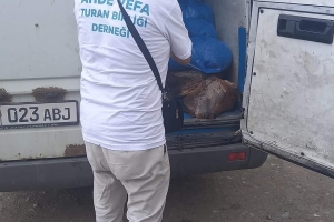 KIRGIZİSTAN'da Issık gölü bölgesindeyiz