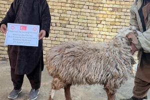 Beklenen Kardeş, Özlenen Bereket