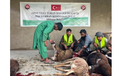 2026 Yılı Kurban Bayramı Faaliyet Raporu